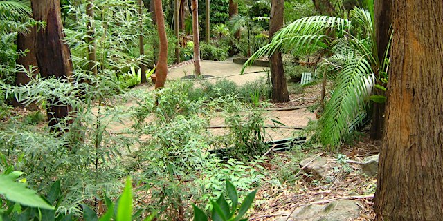 Image principale de Scamper through the Jungle, Thursday 8 October