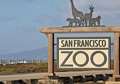 Family Adventure: San Francisco Zoo Wild Coast Quest
