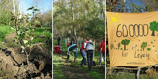 Pflanzung einer Hecke für Schäfereigelände primary image
