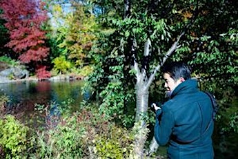 citifari - tour photo de Central Park primary image