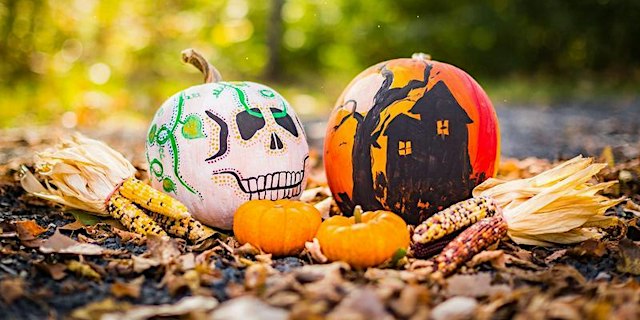 Central Park Pumpkin Painting primary image