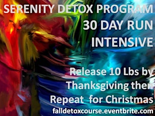 30 DAY RUN INTENSIVE - MEGA BOOT CAMP ENCORE  (Part of the FALL DETOX SERIES) primary image