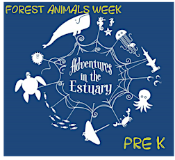 Summer Camp: Forest Animals Week (4-6 year old) primary image