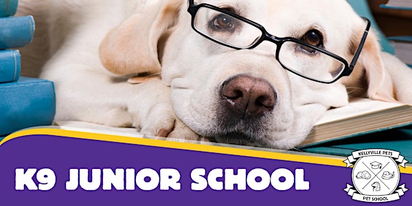 Junior School 2021 - 4 week course