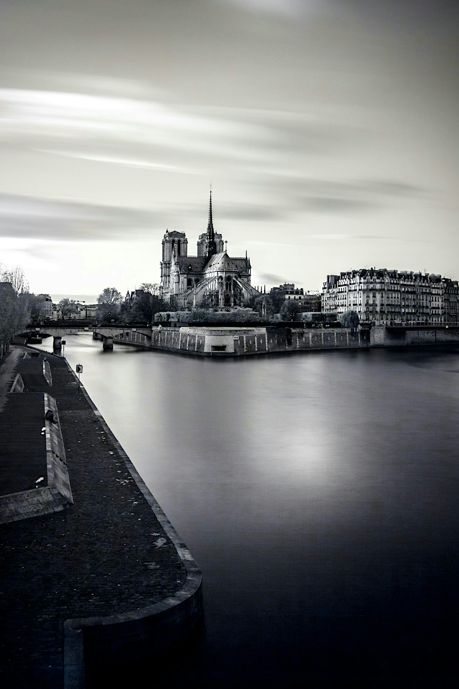 IN SEARCH OF NOTRE-DAME