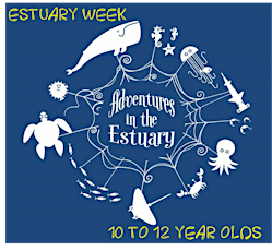 Summer Camp: Estuary Week (10-12 year old) primary image