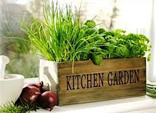 Salad Gardening with Herbs & Edible Flowers ($20 take away salad bowl) primary image