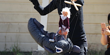 Puppet Performance at ZEALANDIA primary image