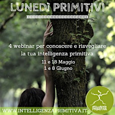 Imagem principal do evento Introduzione all'Intelligenza primitiva - corsa base di formazione online