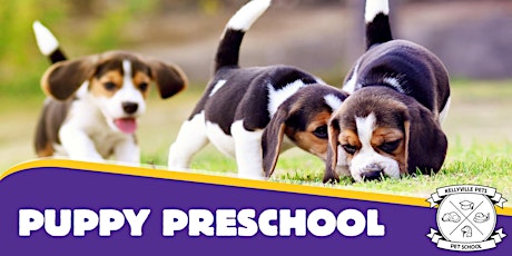 Puppy Preschool 2021 - 4 week course tickets