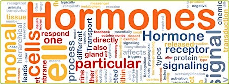 Balancing Hormones Naturally (Webinar) primary image