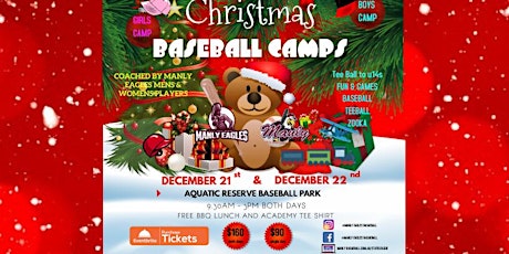 Christmas Baseball Camps primary image
