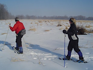 Cross Country Ski along the Mad River in the Minesing Wetlands primary image