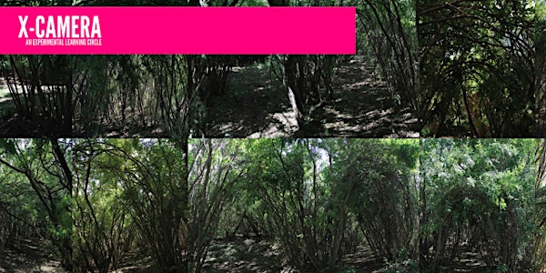 X-CAMERA: Sydney Lancaster - MAKE = BELIEVE: making space, talking to trees