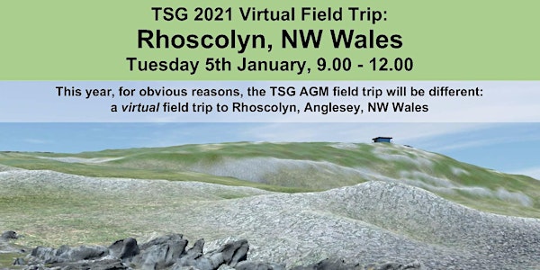 Virtual Rhoscolyn Field Trip