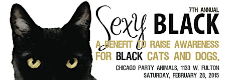 Sexy Black - a benefit to raise awareness for black cats and dogs. primary image