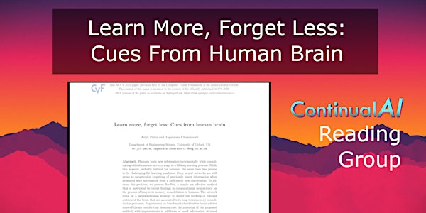 Learn More, Forget Less: Cues from Human Brain