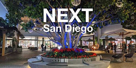 Next San Diego 3D Virtual Holiday Mixer 2020 (HUBS) primary image