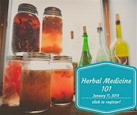 Basic Herbal Medicine 101 primary image