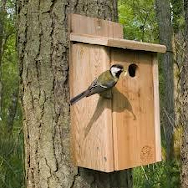 Bunnings Activity - Bird Boxes - Ages 11 - 17
