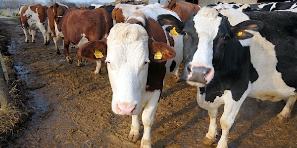 Fostering learning and knowledge exchange in the UK livestock community