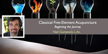 Classical Five-Element Acupuncture: Beginning the Journey