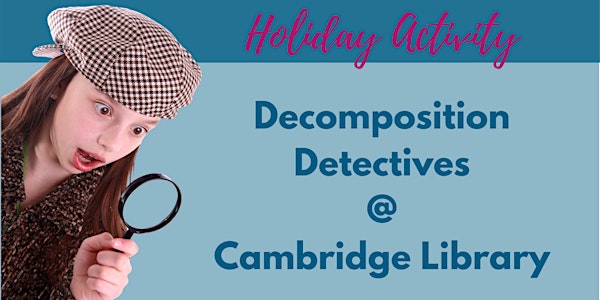 School Holiday Activity: Decomposition Detectives