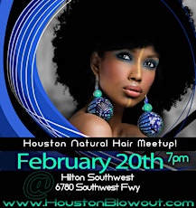 Houston Natural Hair Meetup primary image