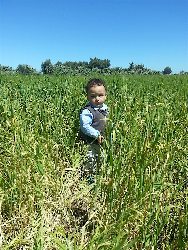 Image principale de origin