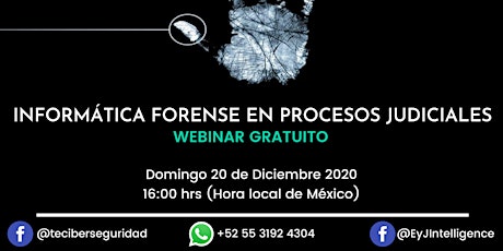 Imagen principal de Informática forense en procesos judiciales