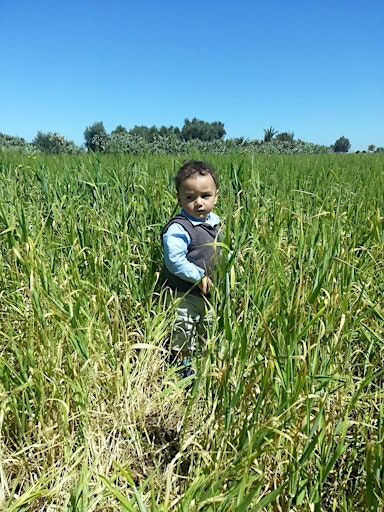 Image principale de origin