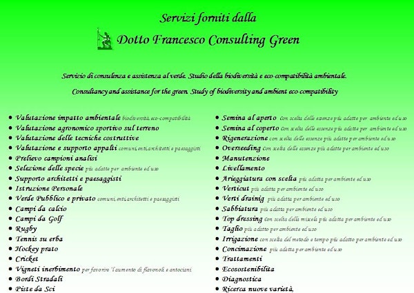 Dotto Francesco Consulting Green