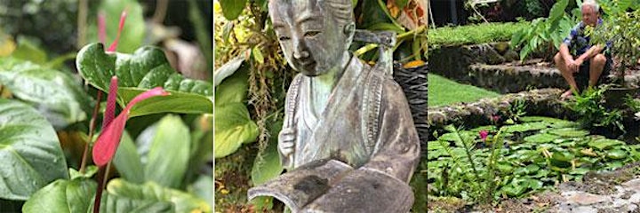 Forest Bathing in an Artist's Garden image