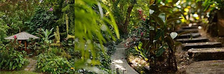 Forest Bathing in an Artist's Garden image