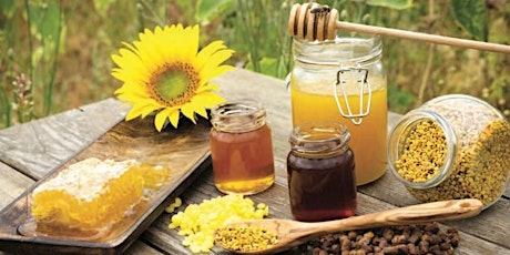Hauptbild für Die Bienen jenseits von Honig – Was die Apitherapie leisten kann