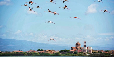 Immagine principale di Aquae Sinis Albergo Diffuso a Cabras 