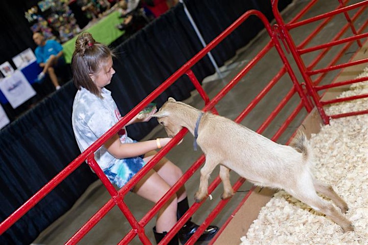 Florida Kids and Family Expo 2021 image