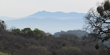 New Year’s Hike on Sonoma Mountain’s East Slope Trail! primary image