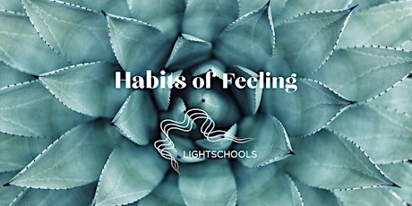 Hauptbild für Habits of Feeling 2