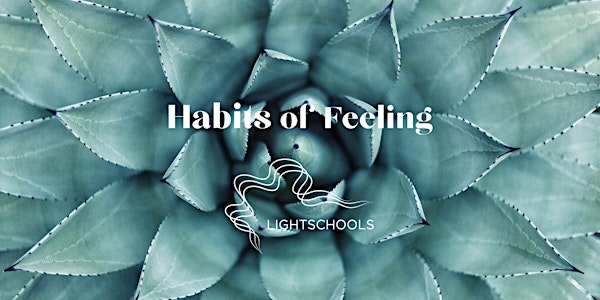 Habits of Feeling 2