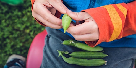 USU Extension Master Gardener Program, Iron County primary image