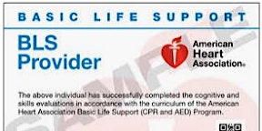 Hauptbild für Basic Life Support (BLS) Provider ecard: ADAMS NETWORK INSTRUCTORS ONLY