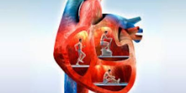 O exercício físico nas doenças cardiovasculares