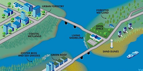 Nature-Based Solutions for Coastal Hazards 101 Virtual primary image