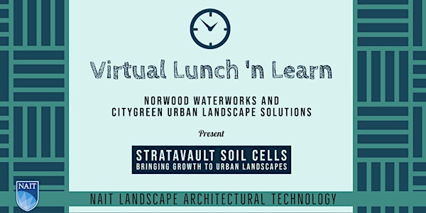 Virtual Lunch and Learn-  Soil Cells: Bringing Growth to Urban Landscapes