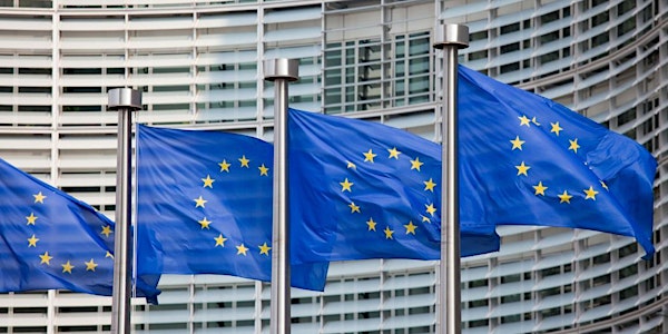 Career Opportunities with the EU Institutions and EPSO selection processes