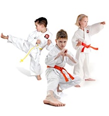 Trumbull Karate WINTER Special primary image