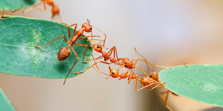 Hauptbild für Be The Change Workshopreihe