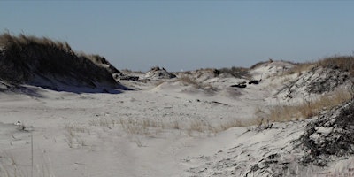 Immagine principale di Discover the Dunes (All Ages) 