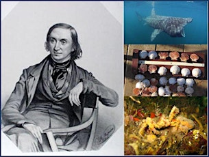 Edward Forbes Bicentenary Marine Science and Conservation Conference primary image